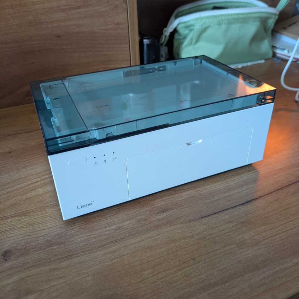 Liene White and Gray Printer